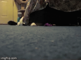 No, Mom! My toy! MINE!