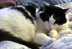 And no, I don't snore ...