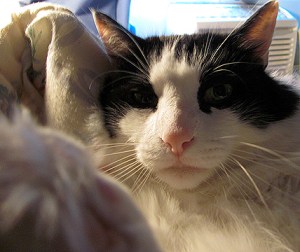 Perhaps I won't kick you in the face this time ... all bets are off if you bore me again.