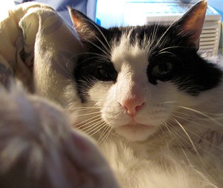 Perhaps I won't kick you in the face this time ... well, that hard ...