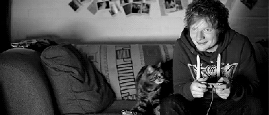 D'awwwwwwwww! GIF found on Metro News UK.