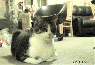 Your offering displeases me, human! GIF found on mythic-flame.deviantart.com.