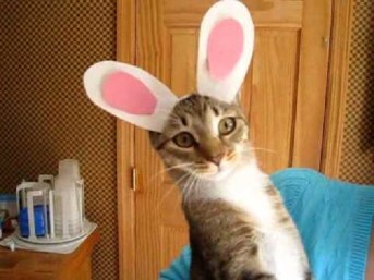 Pardon me, but have you seen my dignity anywhere? Image found on RantLifestyle.