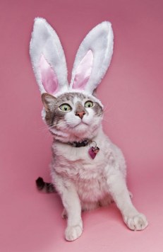 The horror! Image found on Choco Toujours.