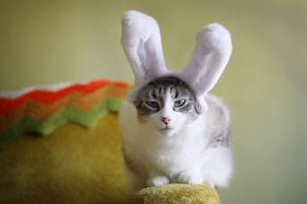 Do you feel your head getting hotter yet?  Image from imgkid.