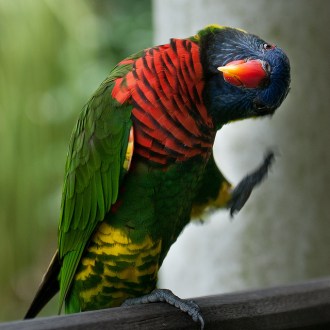 You know, if you got satellite, I wouldn't have to do this! Image found on imgsoup.