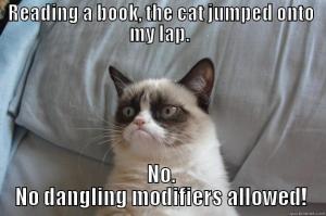 Listen to Grumpy Cat, people ... or at least make sure your cat's not reading crap. Image found on imgsoup.