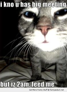 And no,, I don't break out the good grammar till daylight, so hop to! Image found on Funny AsDuck.