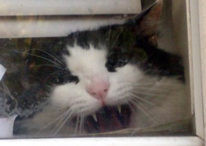 You're late! I'm starving!