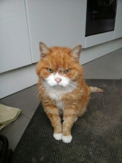 Nope, I'm sorry, but we're gonna have to let you go. And your fly is open. Image found on Sunlit Cafe.