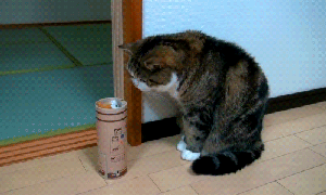 Smells like teen spirit, you say? GAAAHHH!! GIF found on Giphy.