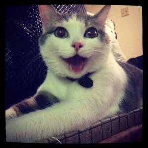 No, I don't know ANYthing about someone putting Nair in your shampoo. But it's a good look! Image found on Weheartit.