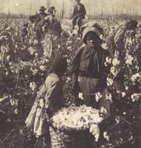 Even after the war, life wasn't all that rosy for many former slaves who had freedom and nothing else; many became sharecroppers just scraping by. Image found on Civil War Experience.