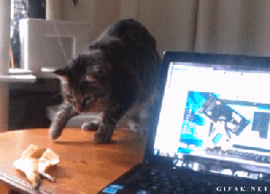 I shall save you, madam, from that evil banana peel ... ewww, icky! GIF found on rumorscity.