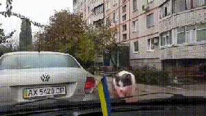 Be vewwy quiet, I'm hunting wipehs ... Found some! GIF found on WiffleGif.