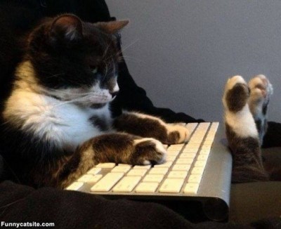 OK, let me just get comfy here ... and ... wait, did you even turn this thing on? Image found on FunnyCutePics.