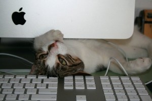 Ummmm ... you know you have a Mac, right? Image found on Flickr.