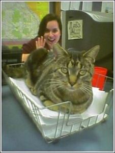 She's back there not working again, isn't she? Back to work, lady. Stop with the waving! Image found on KRCG Pets Pinterest.