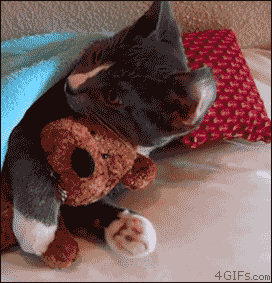What was that? Thunder? Hold me ... Image found on 4GIFs via BuzzFeed.