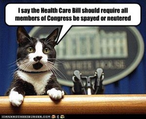 RIP, Socks, my fellow Arkie. Image found on PoliticalCat.