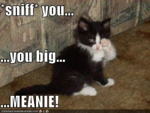 I'm sorry, kitty! Image found on Sodahead.