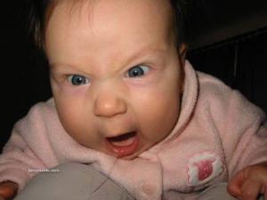 My thoughts exactly, kid! Image found on Bin's Corner.