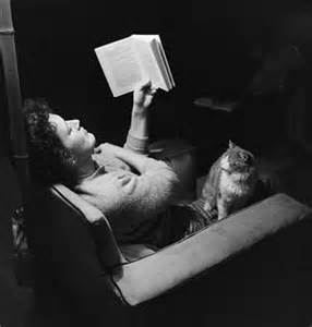 So you think you can prevent me from disrupting your reading? Silly, silly woman! Image found on Library of Cats.
