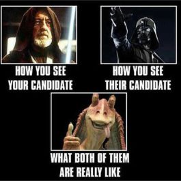 I don't know ... that might be an insult to Jar-Jar ... and I can't stand Jar-Jar. Image found on Izismile.