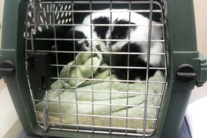 You can't see me, right?