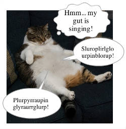 Thanks for warning me, kitty ... I've just gotta be ... elsewhere ... Image found on Neatorama.