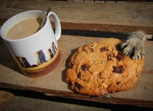 I'll just take that ... you need to lose a few pounds. Image found on BrainJet.