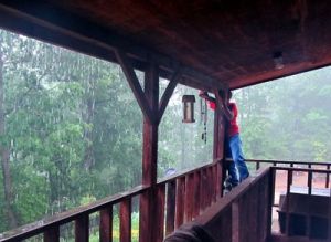 Looks like you've got a wicked toad strangler there, buddy. Image found on Blind Pig and the Acorn.