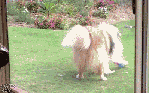 Why would they buy me this thing? It's pastels, for Go-- Um, thanks for the toy!Image found on AllViralPosts.