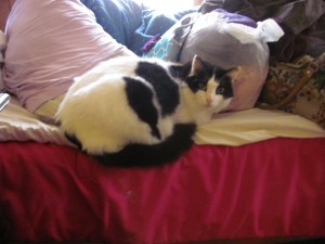 OK, you caught me ... I'm leaving you. My bags are packed!