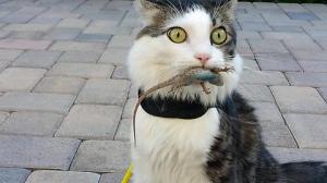 He kept trying to sell me insurance, and I just snapped! Image found on EpicHumor.