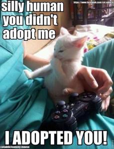 And let me tell you, the paperwork was HORRIBLE! Image found on DumpADay.