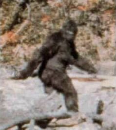 Bigfoot or big hairy guy on a bender? Image found on Wikipedia.