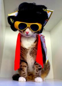 No, Elvis is alive and living in Minnesota. You, on the other hand, will soon take your last breath. Image found on BaxterBoo.