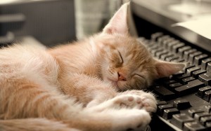 I'm doing this for your own good ... step away from the computer! Image found on TonyLea.