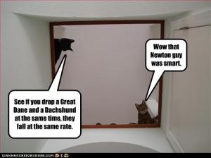 And you thought cats were afraid of vacuums! Image found on mcphysics4highschool.