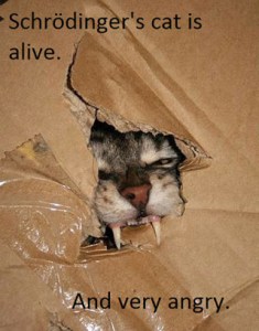 You'd better have the wet food ready if you value your life! Found on Jaana Nystrom's Google+ page.