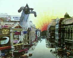 Where are my Kitty Nibbles????? GIF found on Rebloggy.