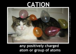 From the look on his face, you should probably find a black hole to disappear into. Image from Caterville Tumblr.