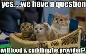 And will there be catnip toys? Image found on Time in my Brain.