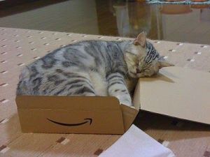 Warning, contents mat have settled down for a snooze during shipping. Image found on Pinterest.