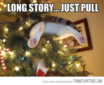 And you'll probably want to get a towel ... I don't do well upside down. Image found on themetapicture.