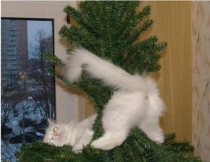 C'mon! Everybody's decorating their trees with cat butts! Image found on wanna-joke.