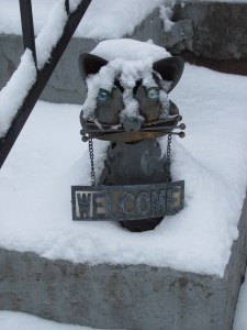 Not enough here to sled, but enough to get the cat cold.