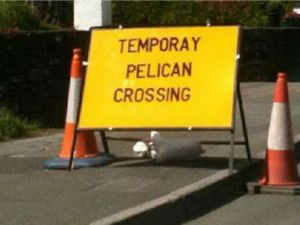 This one, on the other hand ... unless there's such a thing as a temporay pelican. Image found on odometer.com.