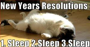 Oh, and occasionally pretend the humans aren't just my maids. Image found on gotfunnypictures.